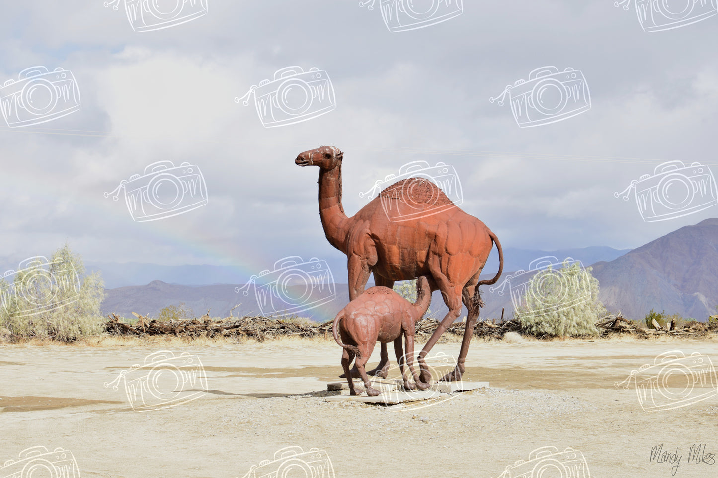 Desert Sculptures