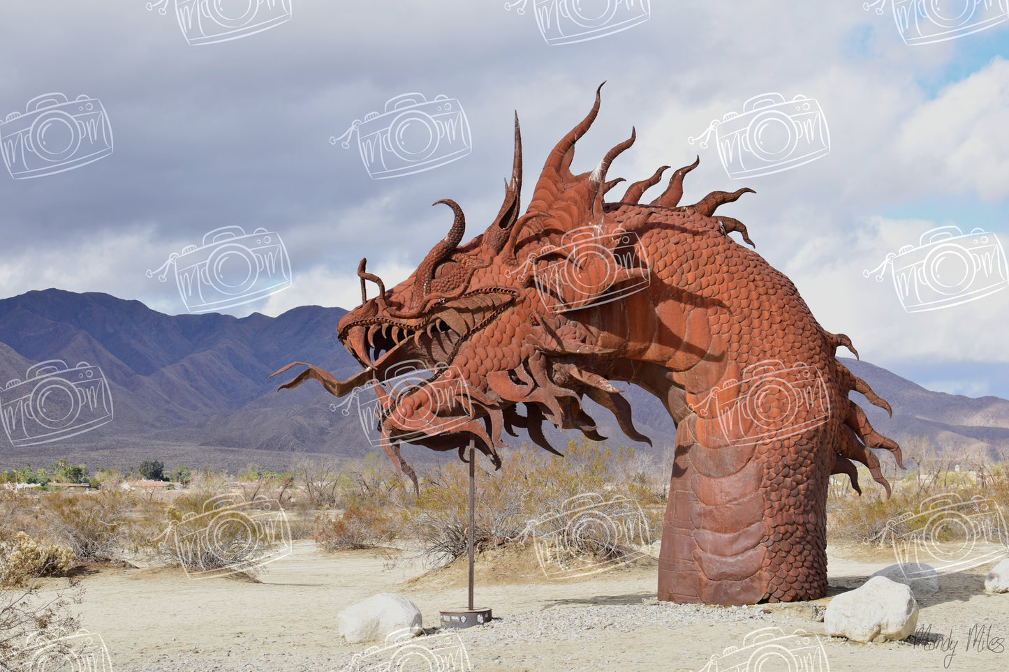 Desert Sculptures