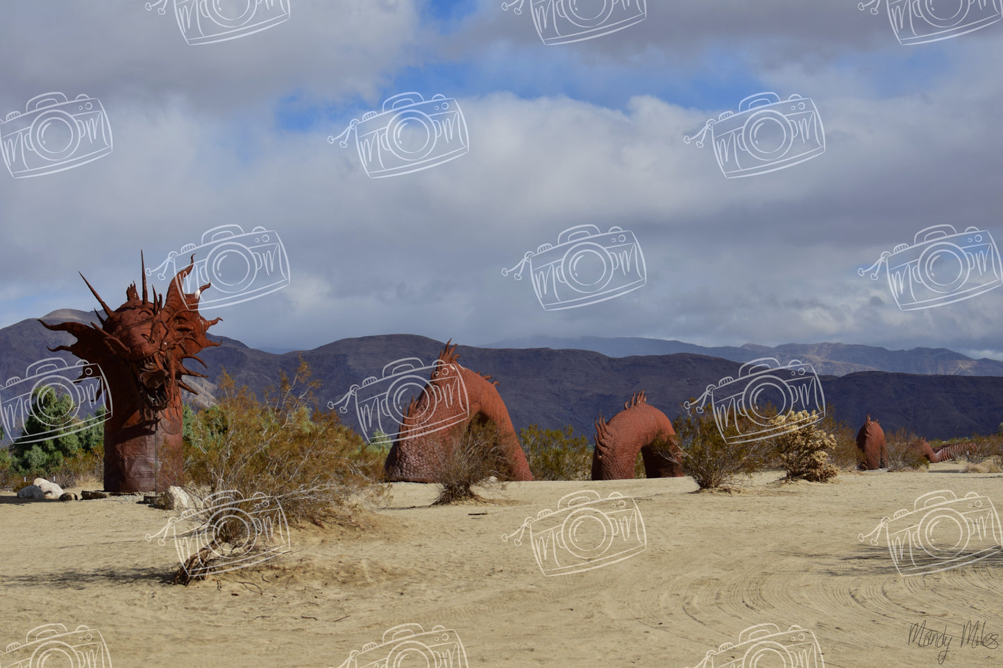 Desert Sculptures